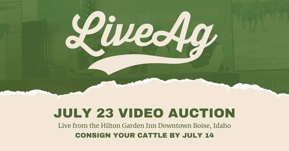 LiveAg Video Auction | July 23 | Boise, Idaho