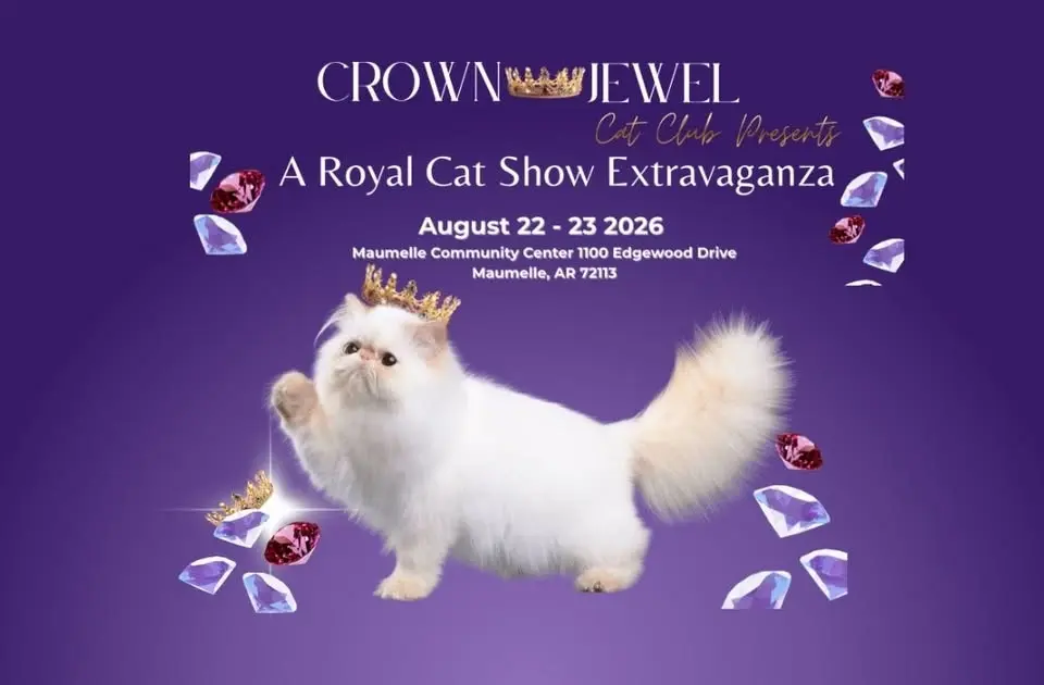 ARKANSAS ROYAL CAT SHOW EXTRAVAGANZA 