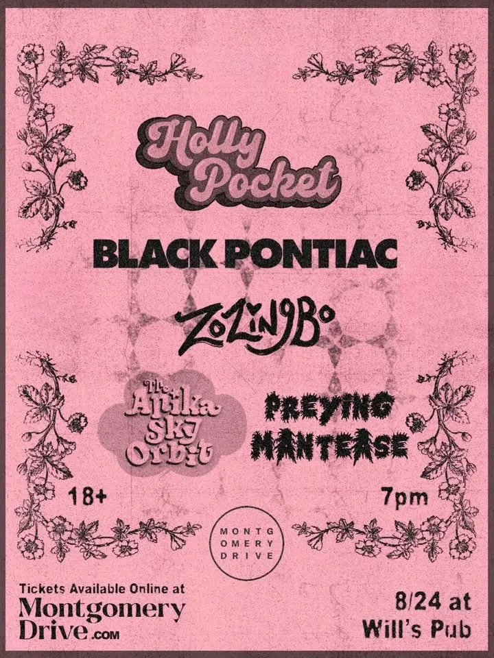 Holly Pocket, Black Pontiac, Zozingbo, The Anika Sky Orbit, and Preying Mantease at Will’s Pub