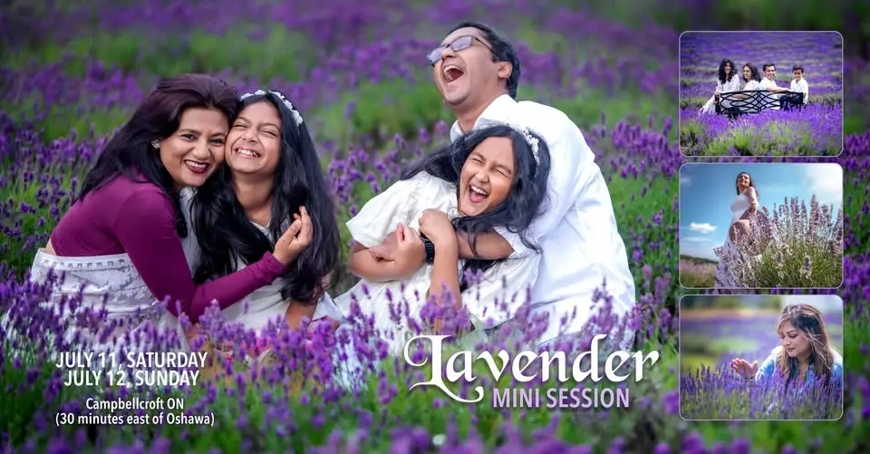 Lavender Mini Session - 35 Minutes East of Oshawa