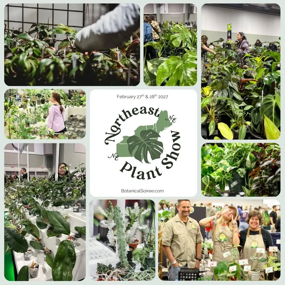 7th Northeast Plant Show