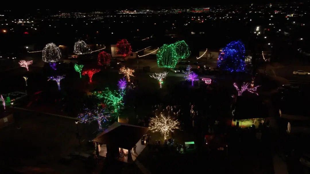 Christmas in the Grove - 
