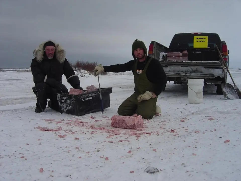 Weekly Screening: Last Dogs of Winter