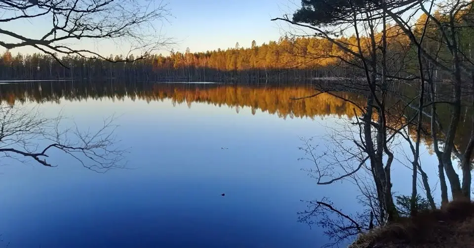 Vallmusik vid Bolletjärn