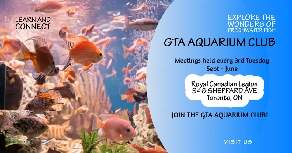 Greater Toronto Area Aquarium Club – Monthly Meeting