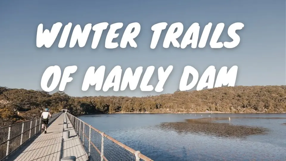 Winter Trails of Manly Dam