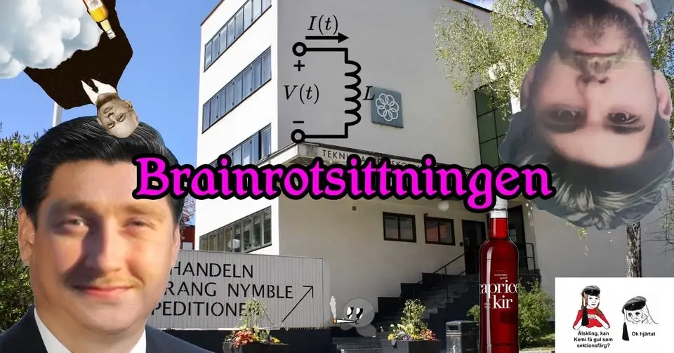 NKM:s Brainrotsittning