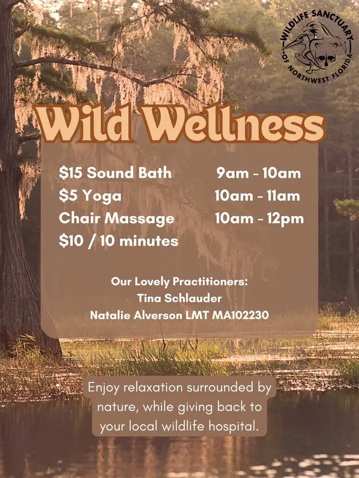 Wild Wellness Day
