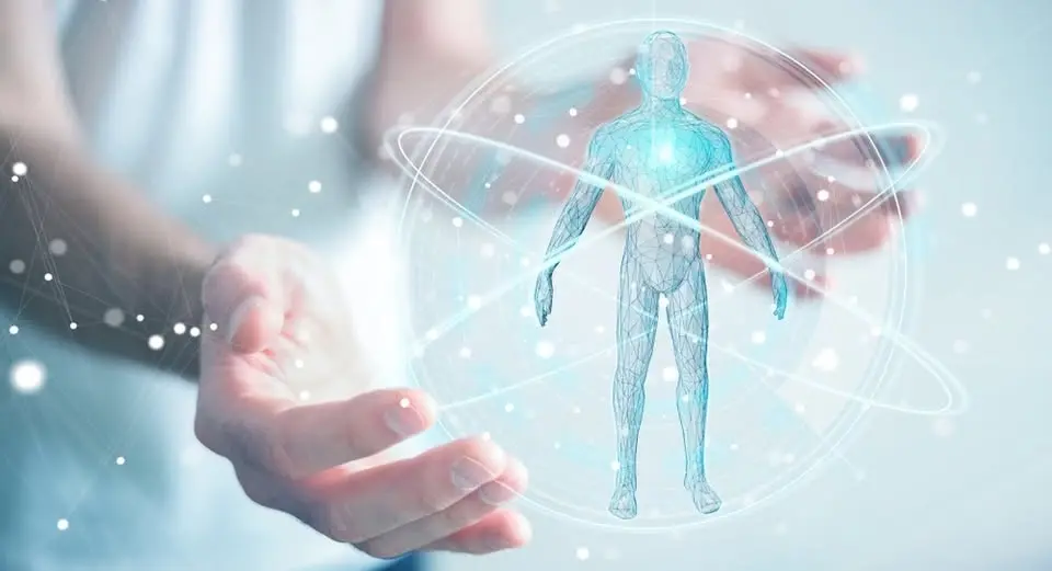 Biodynamic Craniosacral Therapy Practitioner Training starting on November 18-22, London or Online