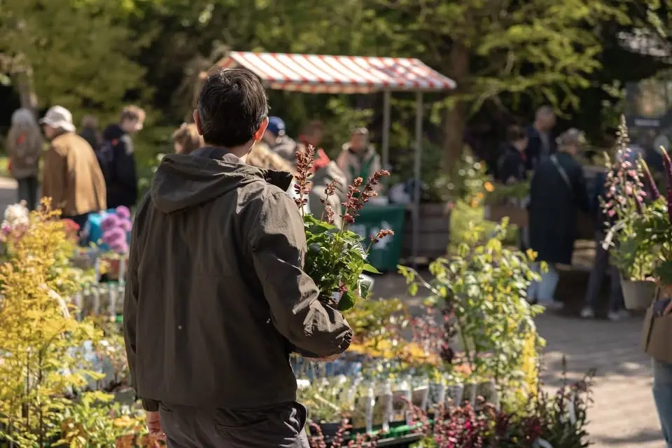 De Plantenmarkt