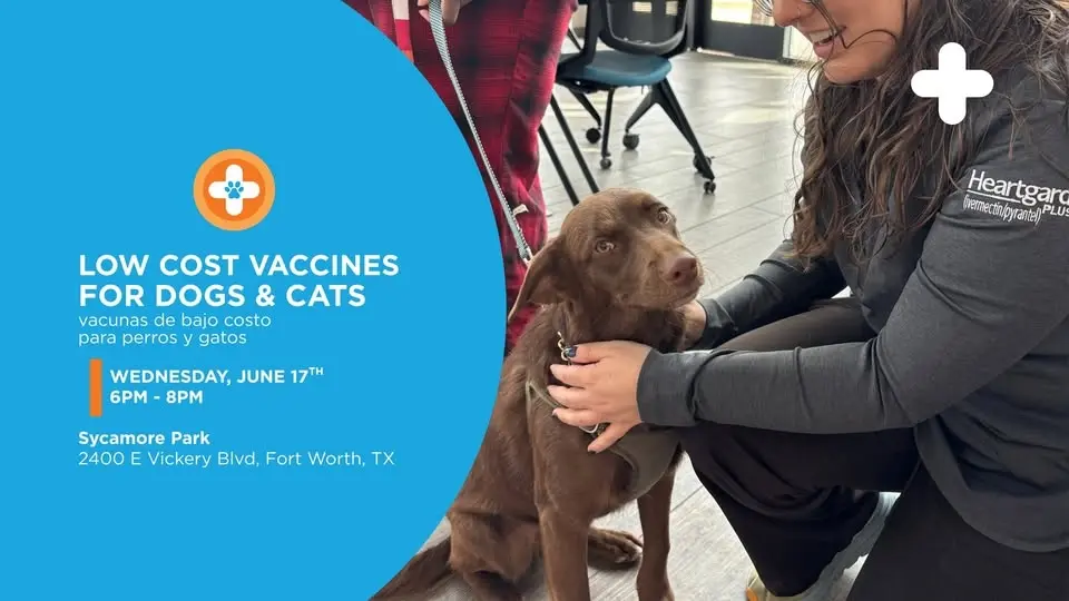 Low-Cost Vaccine Clinic