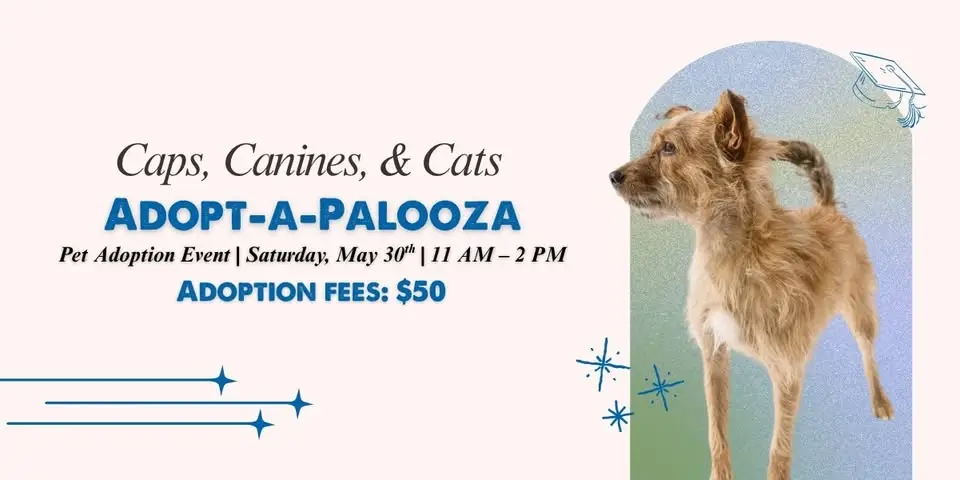 Pet Adoption Event: HPA!'s Adopt-A-Palooza