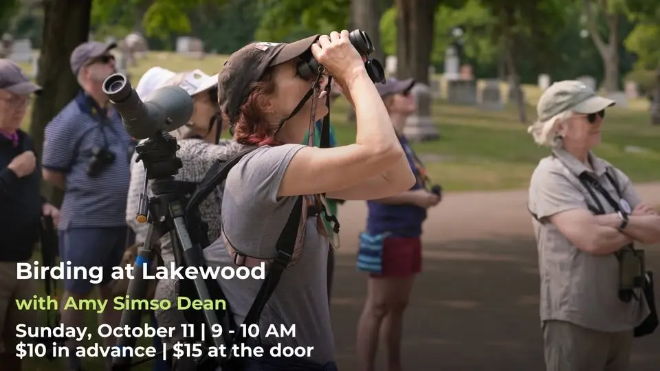 Birding at Lakewood