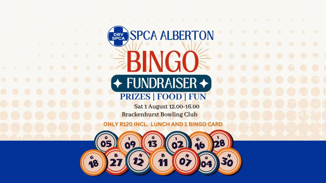 Bingo Fundraiser