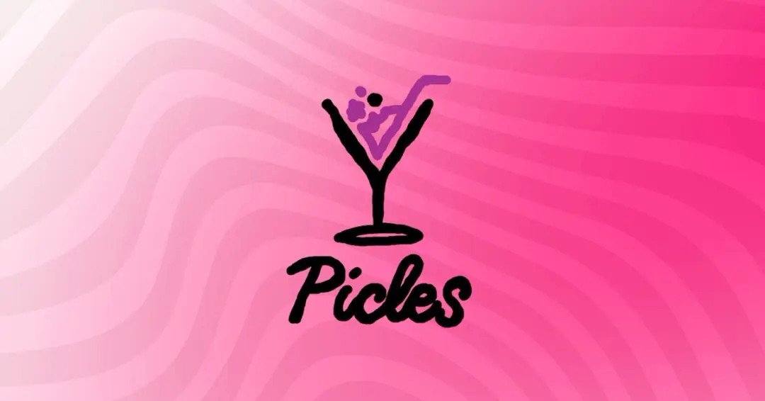 Niver Picles 8 Anos - Safabaile + Top Djs