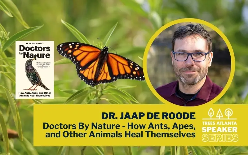 Author Talk: Doctors By Nature - How Ants, Apes and Other Animals Heal Themselves with Dr. Jaap de R
