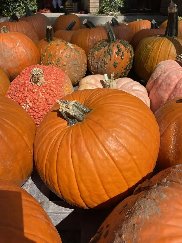 Olde Towne Pumpkin Festival 