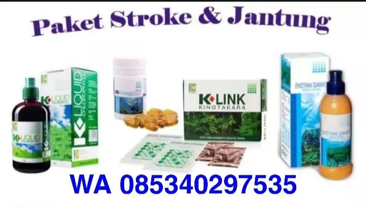 WA 085340297535 K-Link Pangkalan Bun, Alamat Klink Pangkalan Bun