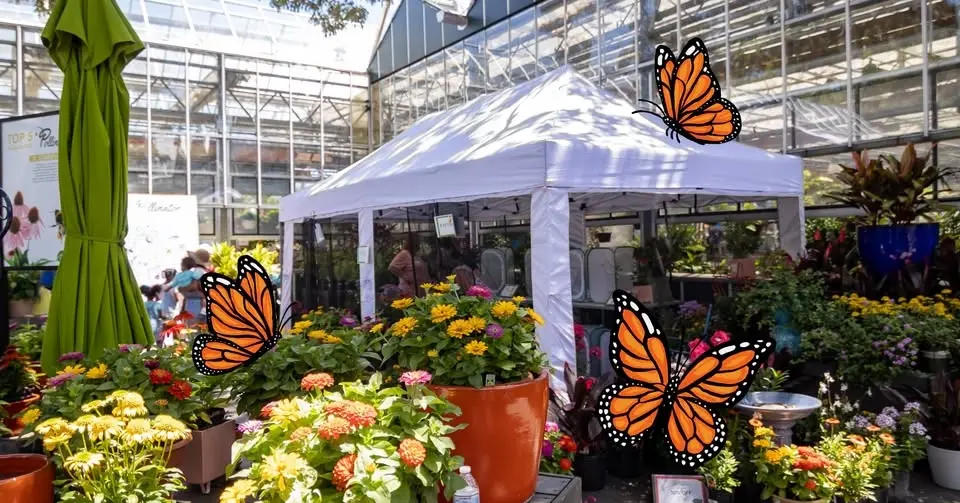 Monarch Butterfly Tent