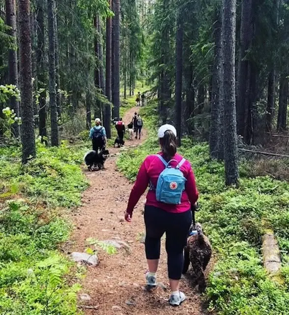 Vandra med din hund upp på Åsberget!