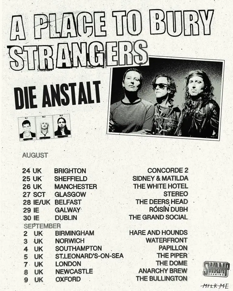 Divine Schism: A Place to Bury Strangers + Die Anstalt