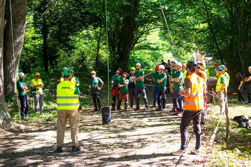 Romanian Tree Climbing Championship 2026 - Sibiu