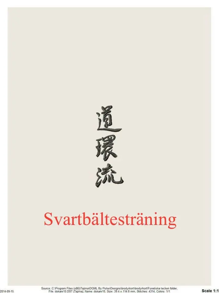 Svartbältesträning Yudanshakai