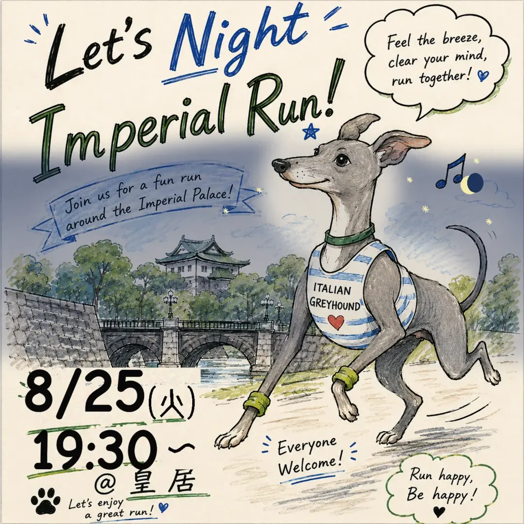 Night Run vol.6