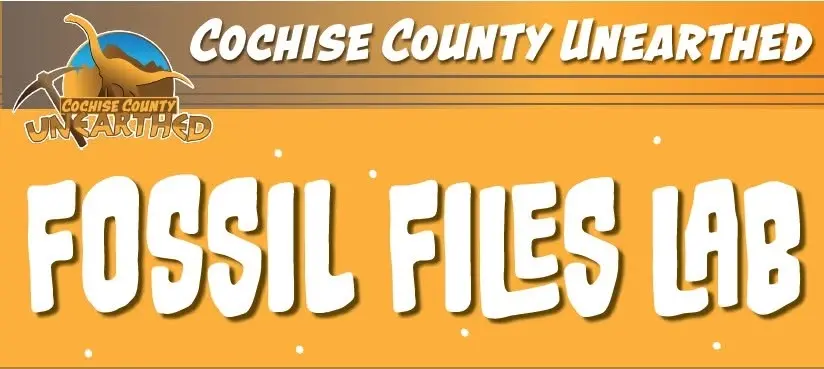 Fossil Files Lab