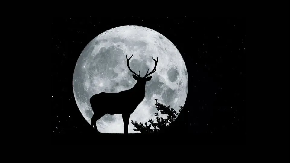 Buck Full Moon: A Yin Yoga & Intention Journey