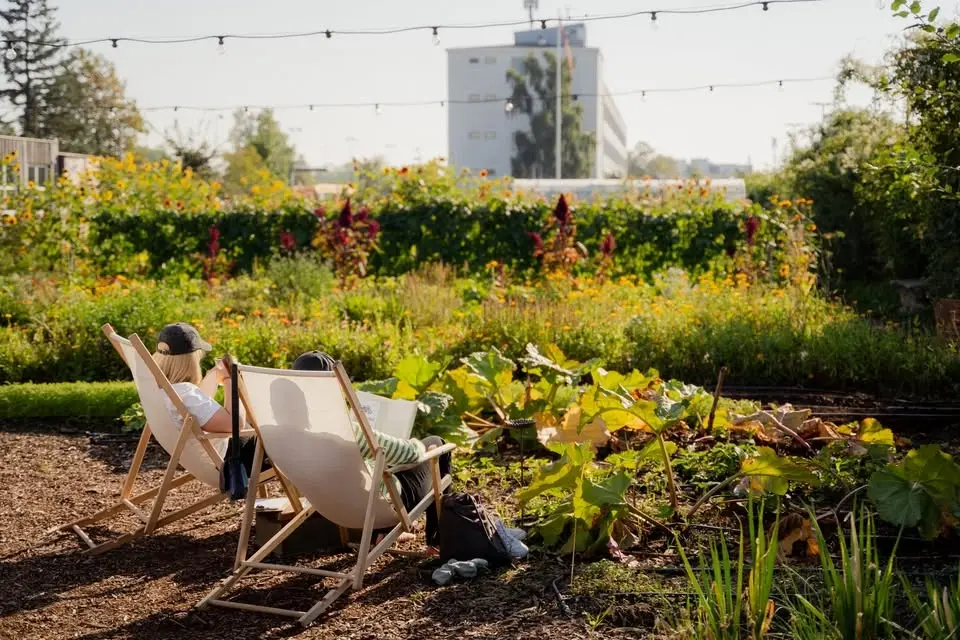 🧡Garden Sunday in Øens Have🌿