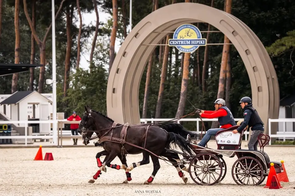 Zawody Towarzyskie w Powożeniu + kwalifikacje do Cavaliada Driving Cup! 