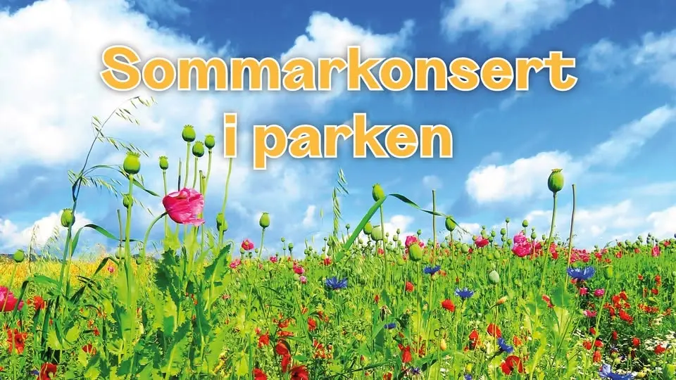 Sommarkonsert i parken