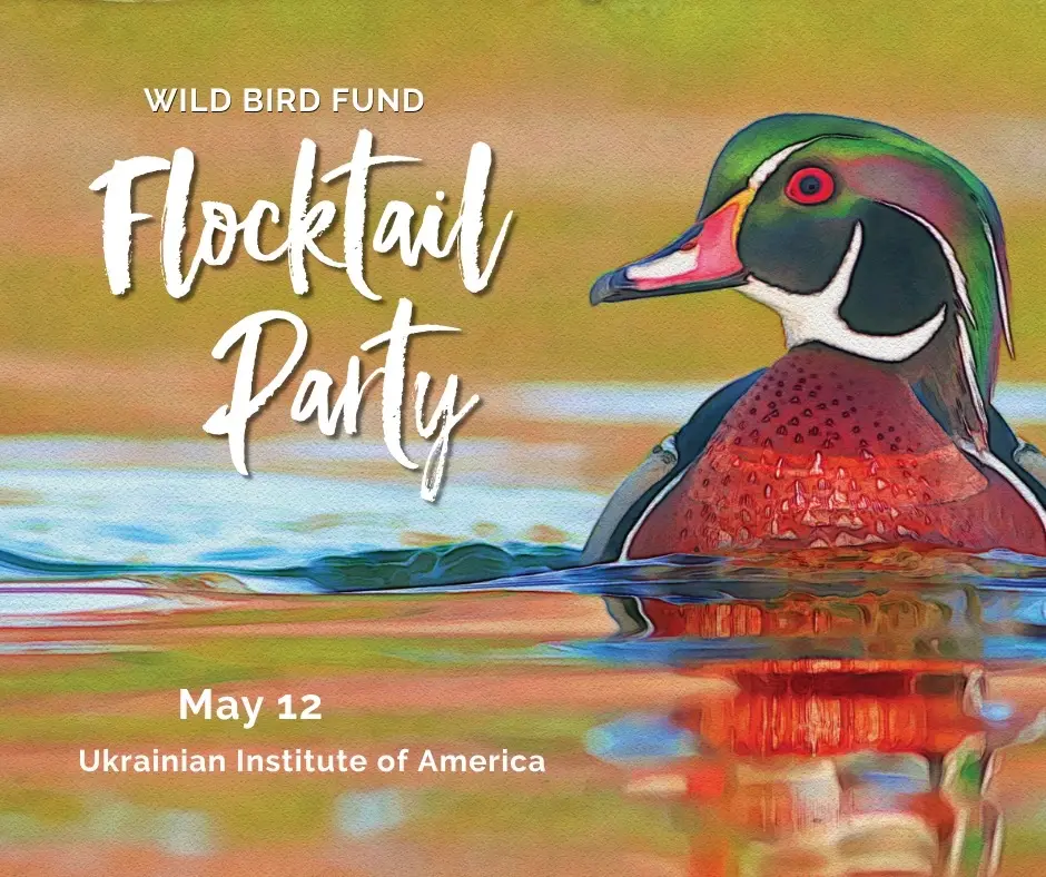 Flocktail Party