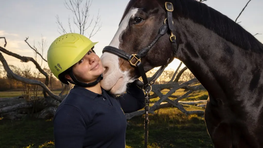 Horse Welfare Summit 2026