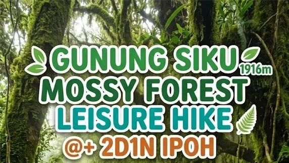 [FULLED] GUNUNG SIKU MOSSY FOREST LEISURE HIKE @1916m + 2D1N IPOH