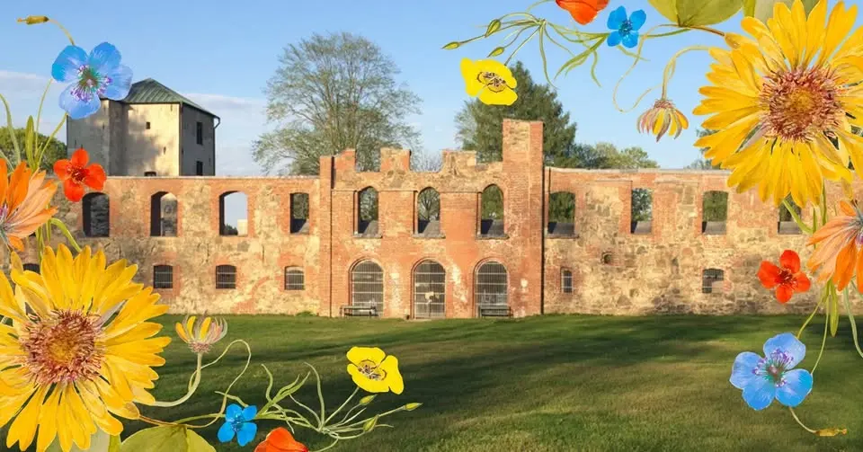 Gratis blomstervandring i Gräfsnäs 
