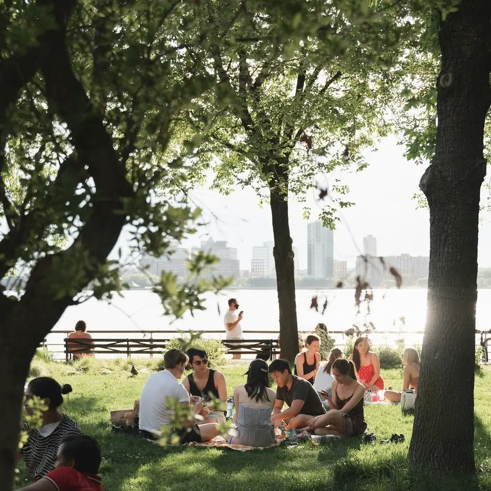 Cross-NYC Healthcare Community - Picnic Hangout