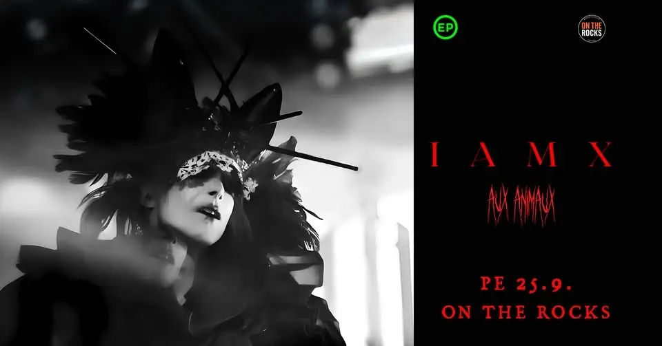 IAMX (UK), Aux Animaux (SE) // On The Rocks