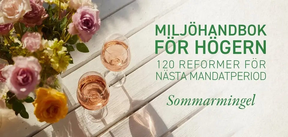Sommaravslutning och rapportlansering