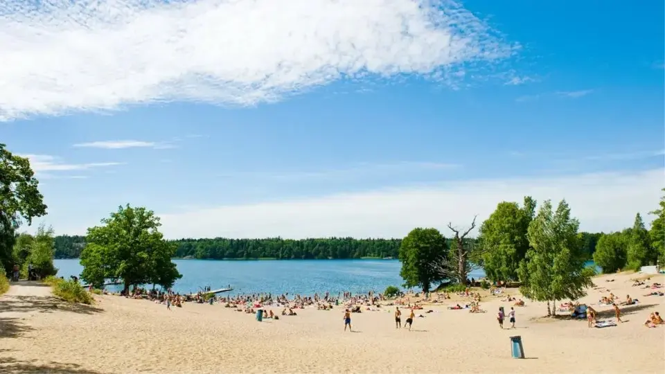 Walk & Swim at the Lake!