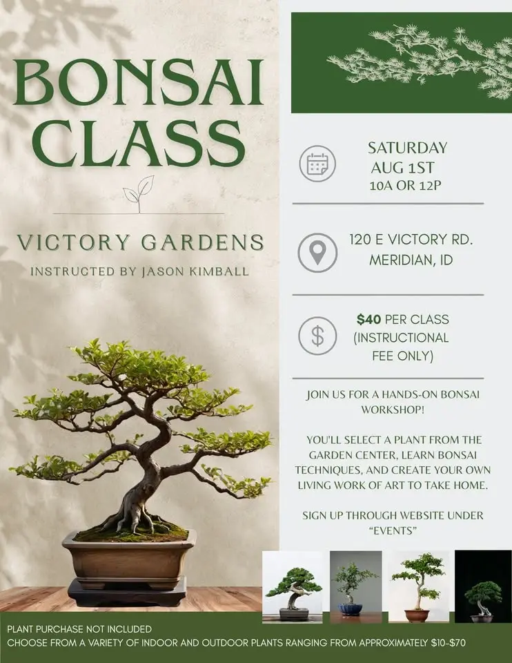 Bonsai Workshop