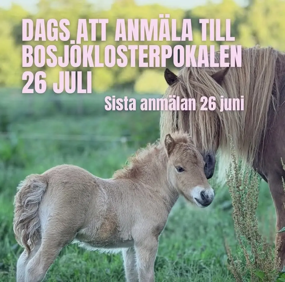 Shetland Syds Bosjöklosterpokalen