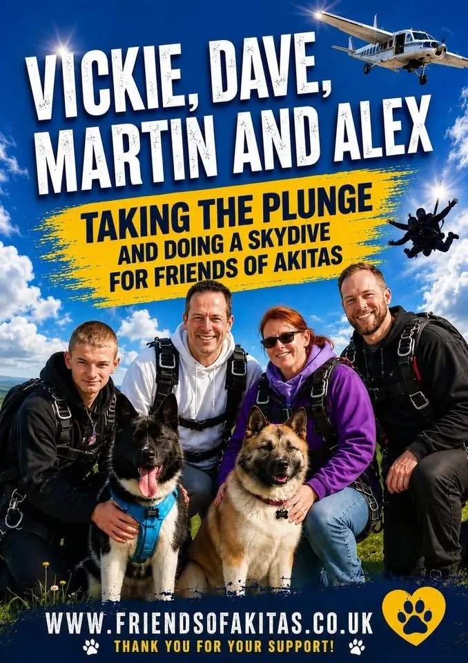 Friends of Akita's Team Skydiving Fundraising Event 💜💜