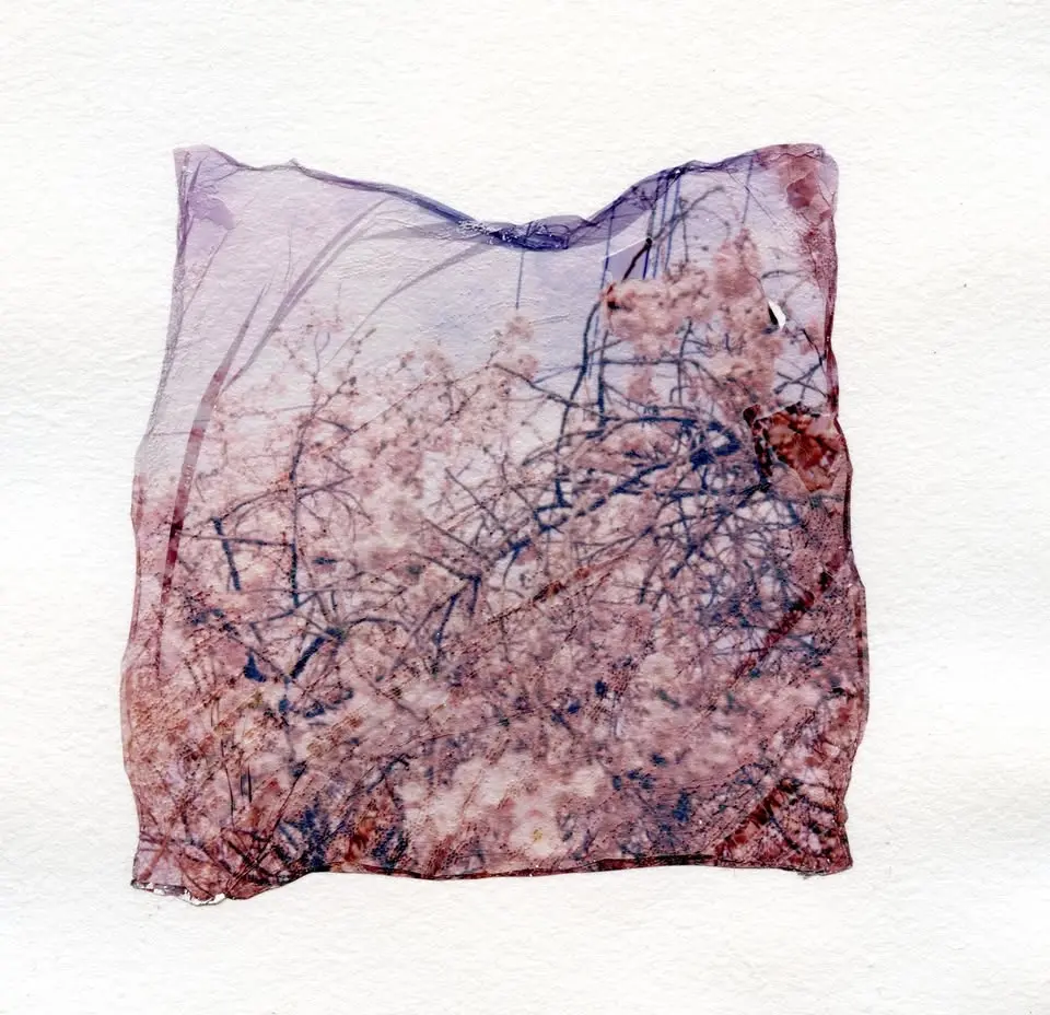 Summer Nights: Polaroid Transfer Printing with Jean Marques