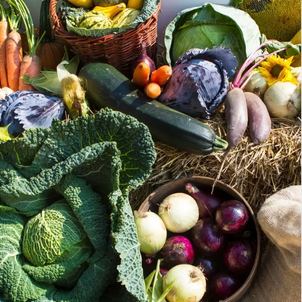When Food Becomes Medicine: A Free Lecture in Food Energetics & Longevity