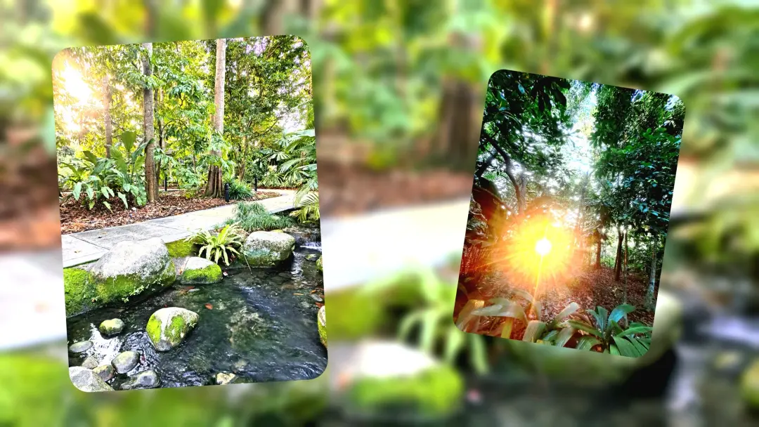 💧 Saraca Stream Nature Immersion Trail & Gardens Walk ✨️🌿