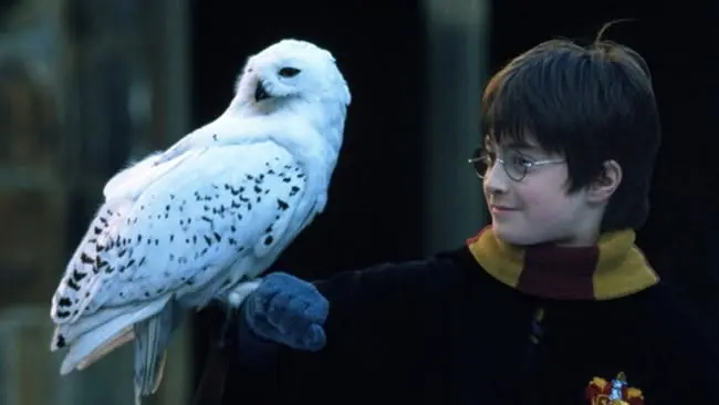 Harry Potter and the Sorcerer's Stone™ in Concert