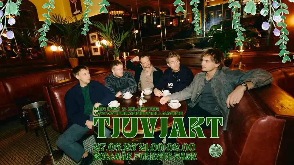 TJUVJAKT - BOLLNÄS FOLKETS PARK