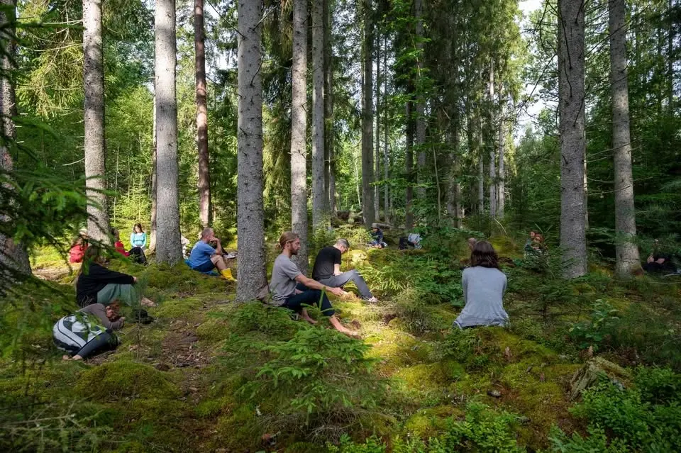 Embodiment Festival